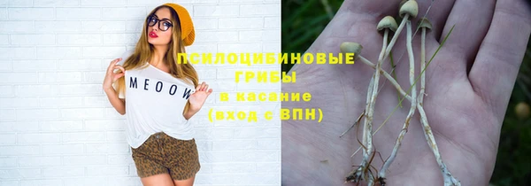 ГАЛЛЮЦИНОГЕННЫЕ ГРИБЫ Кодинск