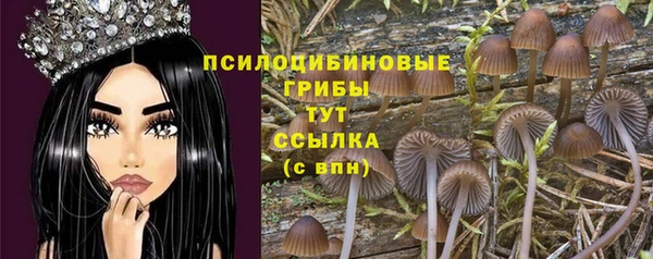 ГАЛЛЮЦИНОГЕННЫЕ ГРИБЫ Кодинск