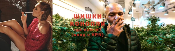 гидра Козельск