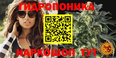 соль ск Обь