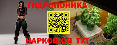 соль ск Обь