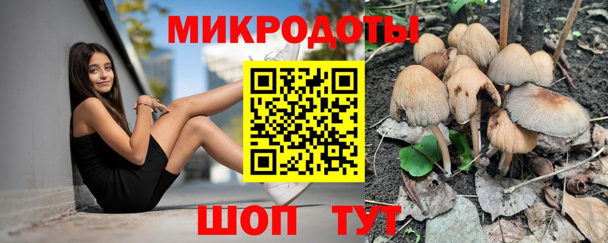 Псилоцибиновые грибы мицелий Химки